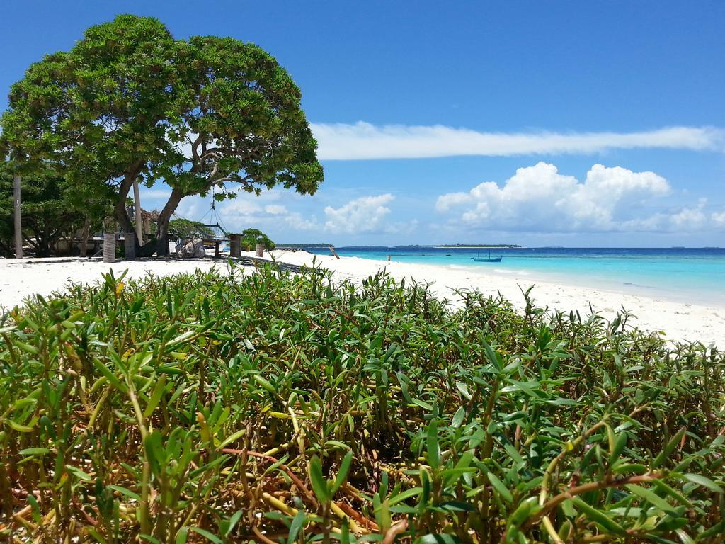 Lvis Blancura Hotel Dharavandhoo Εξωτερικό φωτογραφία
