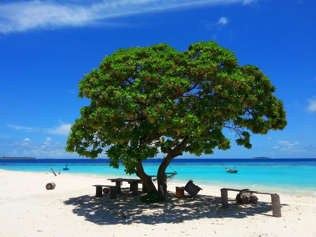 Lvis Blancura Hotel Dharavandhoo Εξωτερικό φωτογραφία
