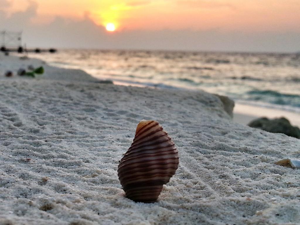 Lvis Blancura Hotel Dharavandhoo Εξωτερικό φωτογραφία